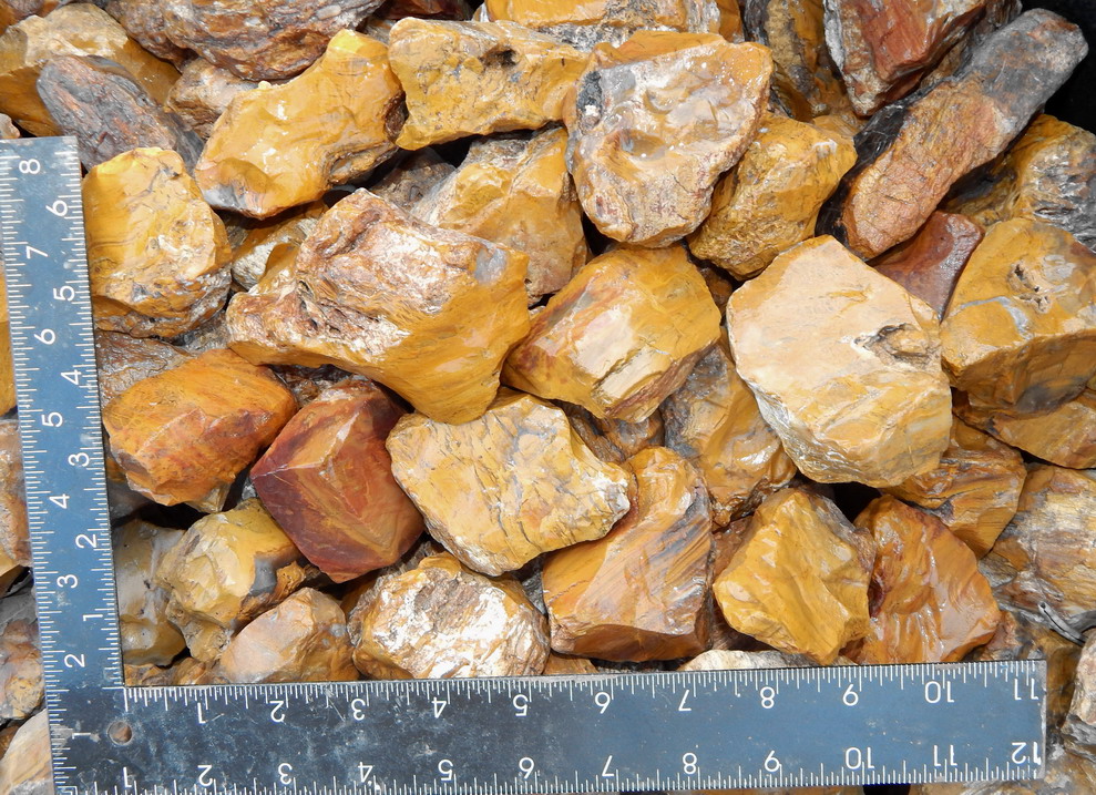 golden petrified wood lapidary cabbing tumbling rough