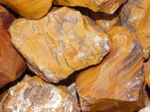 golden petrified wood lapidary rough