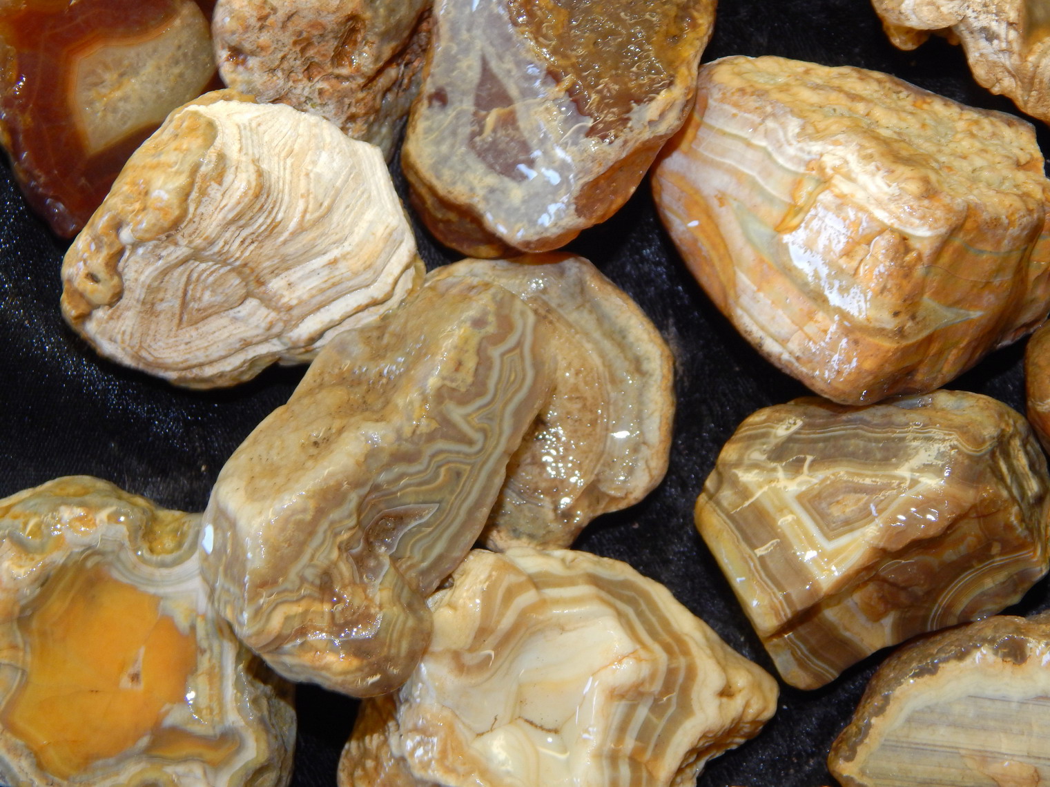 sumatra banded carnelian agate lapidary cabbing tumbling rough