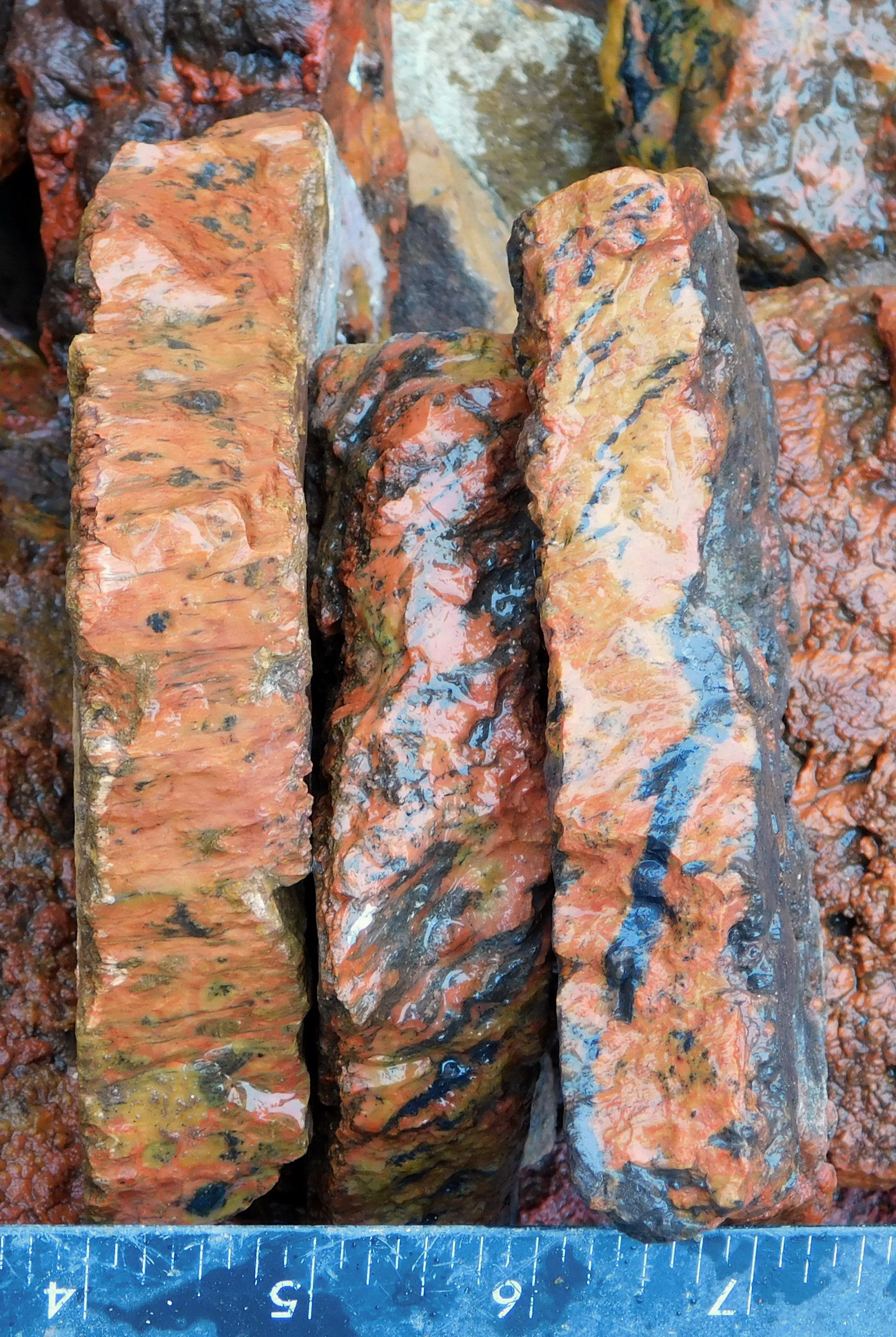 tiger tail jasper from mexico lapidary cabbing tumbling rough